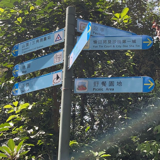 Trail signs